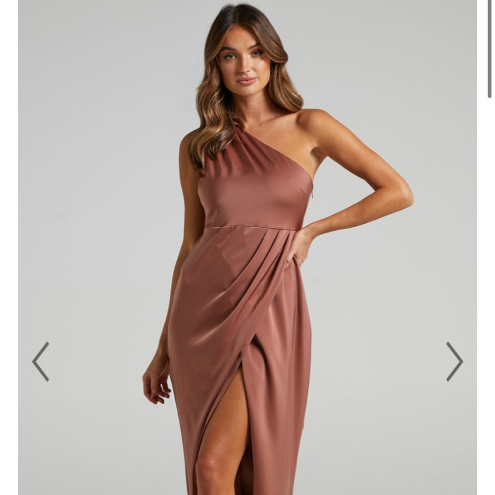 Showpo Dusty Rose Dress